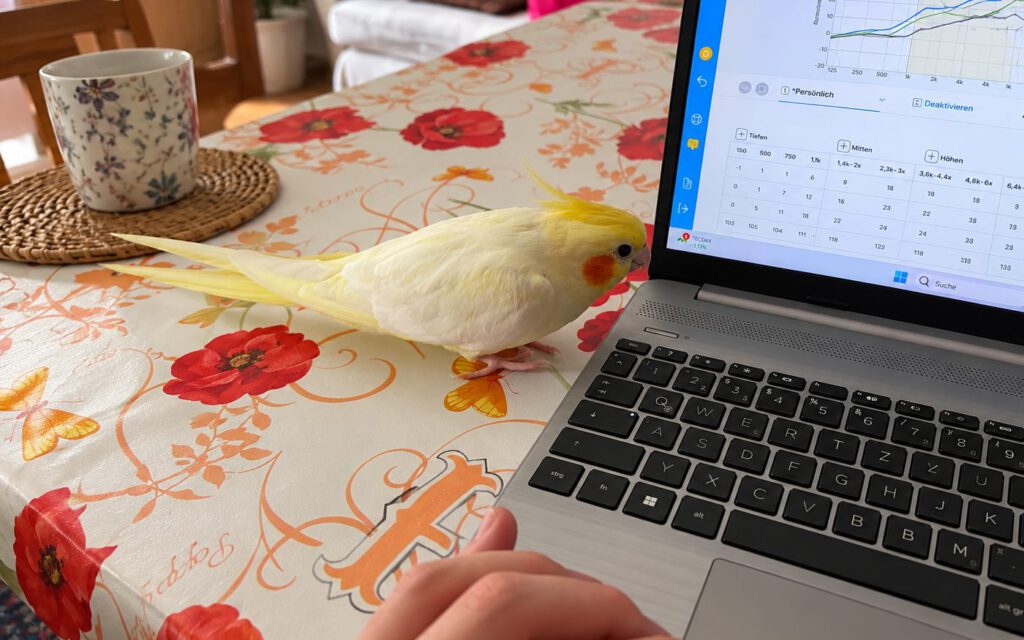 Laptop mit Messkurven auf einem Tisch, daneben ein Nymphensittich
